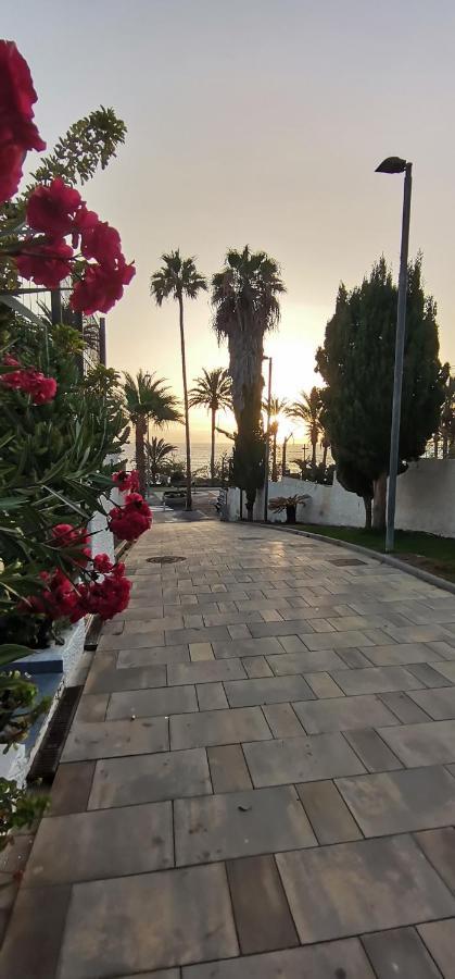 Apartamento Playa Las Americas 美洲海滩 外观 照片